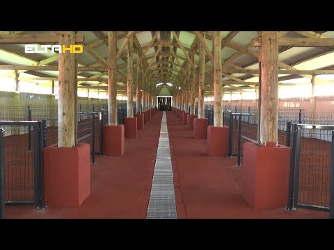 BL HRONIKA 23 06 20 - AZIL MANJACA