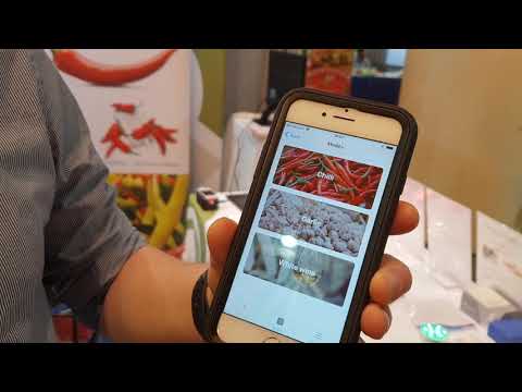 FoodSense at IFT2019