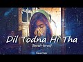 Dil Todna Hi Tha TOH Dil Laga Koi SLOW Reverb LOFI SONG