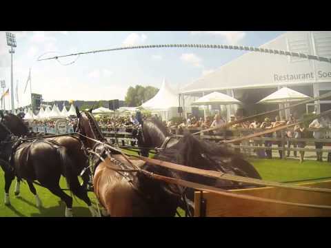 Vierspänner EM Aachen 2015 - Hindernisparcours