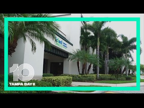 Former DCF secretary's insight into child welfare case transition | wtsp.com