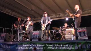SHAVE THE CAT – Alejandro Escovedo ft don Antonio live@Buscadero Day – Pusiano  IT   2017 jul  23