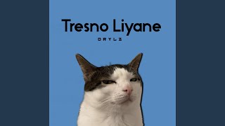 Download lagu Tresno Liyane mp3 Download lagu Tresno Liyane mp3