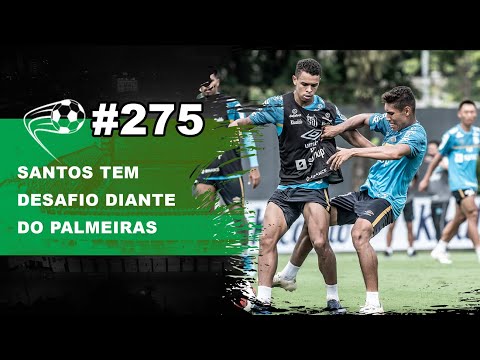SANTOS FAZ CLÁSSICO CONTRA O PALMEIRAS NO DOMINGO