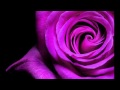 Dumitru Dinu - Amurg violet 