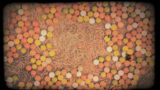 Yppah - Gumball Machine Weekend