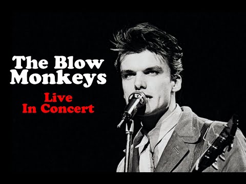Blow Monkeys Live In Concert Radio Broacast 1987