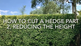 How To Cut A Hedge Part 2 Reducing The Height, Cutting A Privet Hedge, Get Gardening