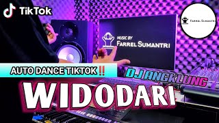 Download lagu DJ TIKTOK VIRAL | WIDODARI (Ku Pernah Terjatuh Ku Pernah Ditinggalkan) DENNY CAKNAN | REMIX FULLBASS mp3