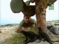 Crocodile Hunter Geschichten Aus Galapagos 4 4