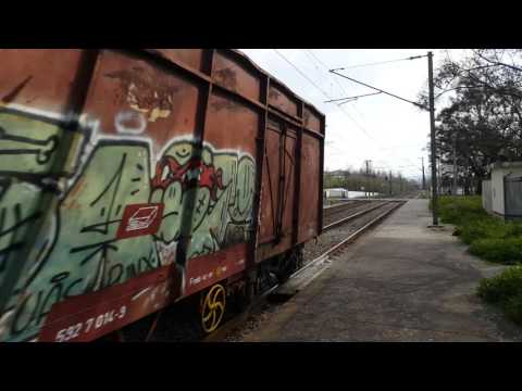 LE 5621 com comboio de estilha em Adémia