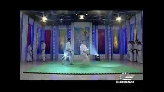 preview picture of video 'Karate Cesena - ACSD Seishinkai su Teleromagna - 27 aprile 2012'