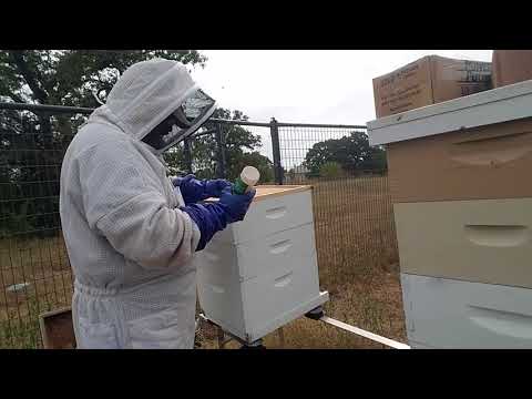 20 cent Hive Ventilation Solution