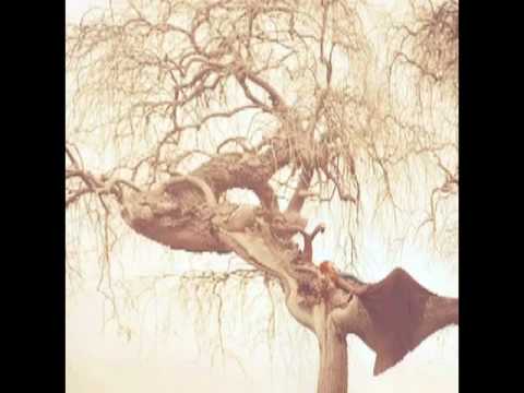 Angela Gaber Trio "Las" HQ