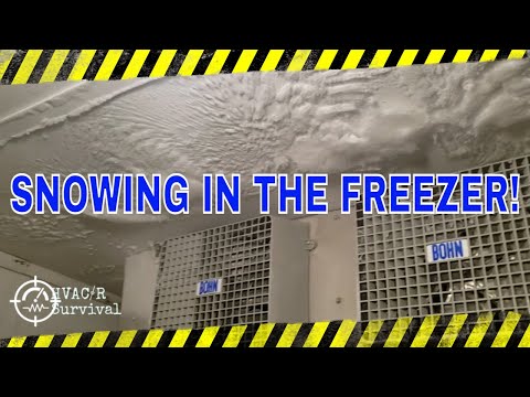 SNOWING IN THE FREEZER - SHOW ME THE ICE