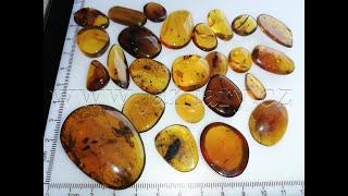  Křídový jantar SJ-61