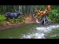 4K Jungle Cruise Ride At Disneyland May 2016