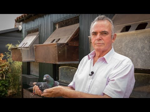 National winners ZLU 2018 - Perpignan: Jos Martens, Stein (english & romanian sub)