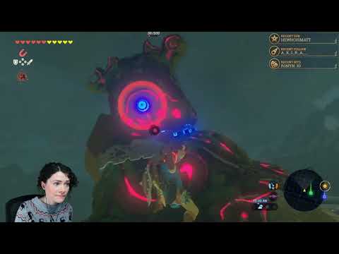 Decayed Guardian Fight