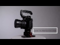 CAME-TV Protective Cage for GH5 Camera Rig