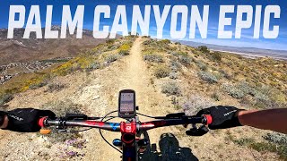 27 Miles of Fun : Palm Canyon Epic
