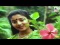 Oru Kilyin Song HD Poovizhi Vasalile Ilaiyaraja