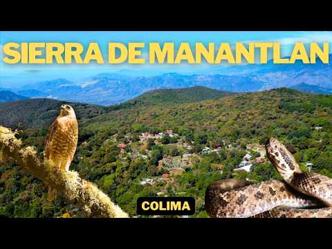 Sierra de Manantlán: The Lungs of Western Mexico