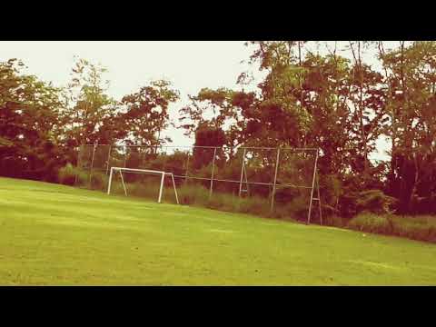 Green Magic // Magic X Cardistry by Ryan George