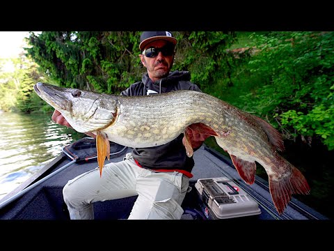 PIKE FISHING in HIGH ALTITUDE