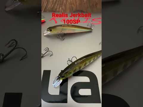 Realis Jerkbait 100SP
