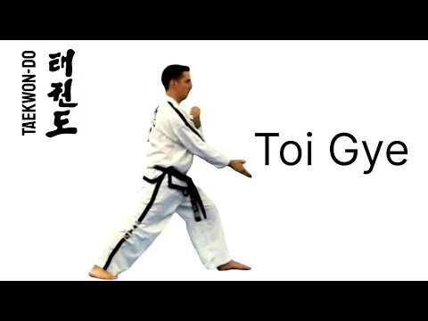 Toi Gye #taekwondo