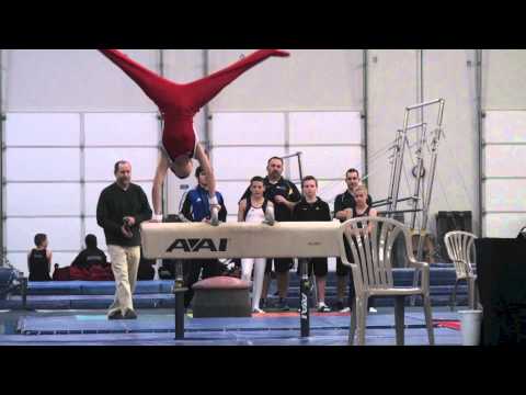 Brandon Ngai 2013 Mas Watanabe Invite Pommel Horse 1st Place