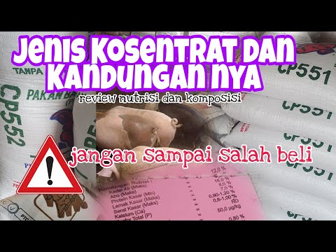 , title : 'Jenis Kosentrat Untuk Pakan BABI, Kandungan dan Nutrisi. Peternakan Babi Di Bali'