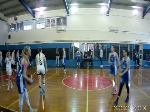 KZK Partizan-ZKK Radivoj Korac    1/4    87-74