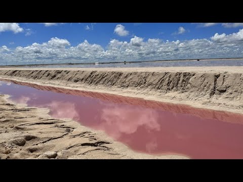 Is it worth it to visit Las Coloradas for the pink water?