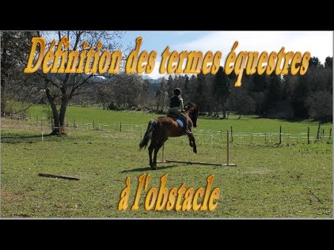 Vocabulaire : en saut d'obstacles