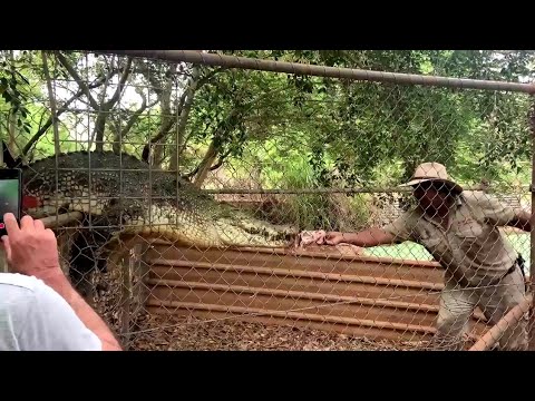 MABU BURU LIFESTYLE EPISODE 36 - "ONE EYE", Johani's Feeding Tour experience