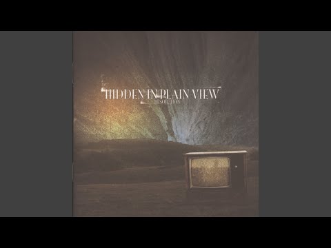 Our Time - Hidden in Plain View