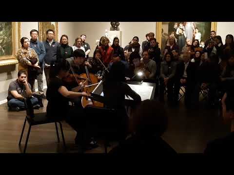 Schumann at the Houston Museum of Fine Arts