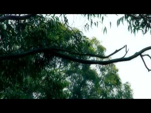 Owell Kewen - Sunday Melancholic