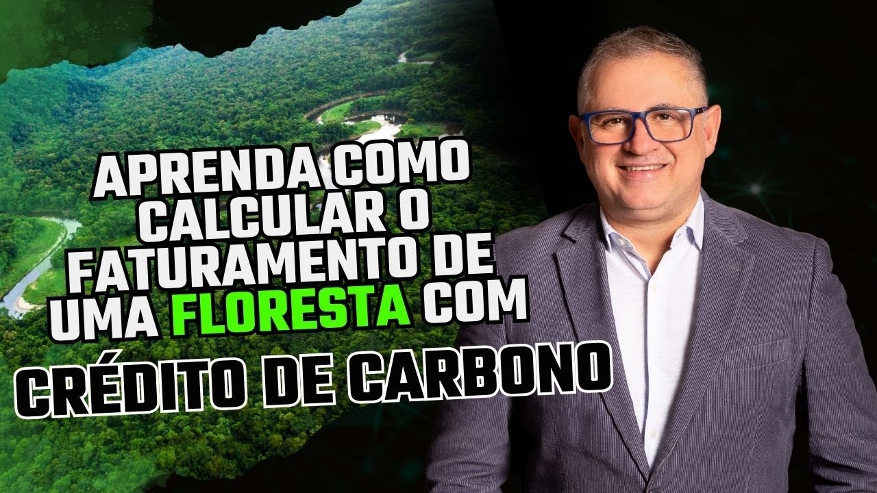 👉 COMO CALCULAR O FATURAMENTO DE UMA FLORESTA COM CRÉDITO DE CARBONO?