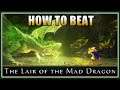 Basics You Need Know To Beat LAIR OF THE MAD DRAGON Dungeon Neverwinter Module 29
