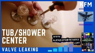 How To Replace Leaking Tub To Shower Diverter Valve Rotation Style