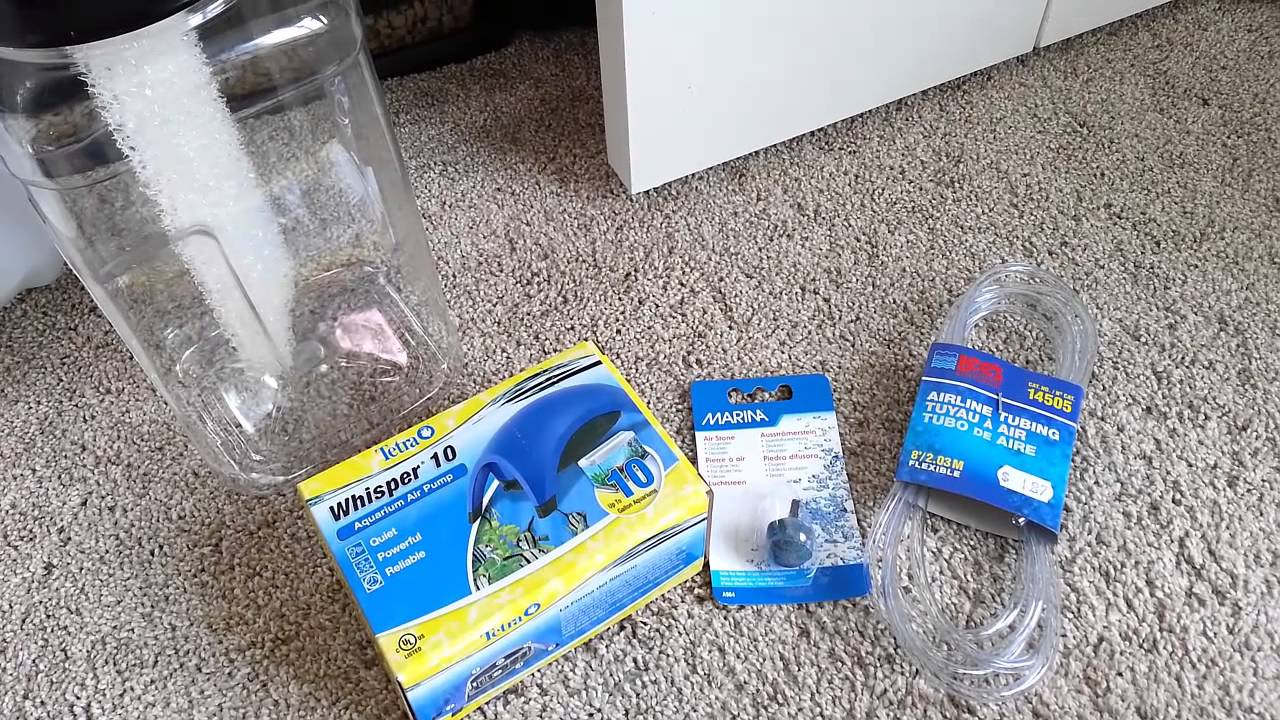 DIY Terrarium Humidifier