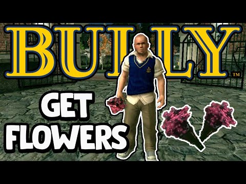 Bully - How To Get Flowers