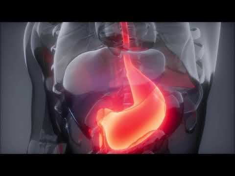 Was ist Pankreassaft