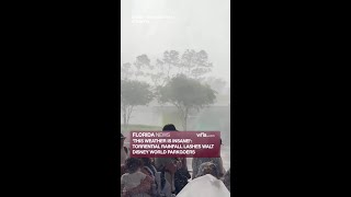 Torrential rainfall lashes Walt Disney World parkgoers