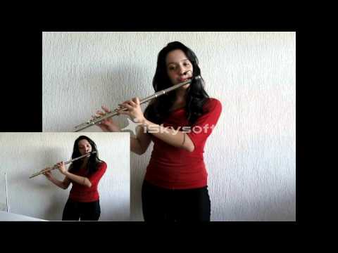 Concerto para Dois Bandolins - Vivaldi (Duo Flauta Transversal)