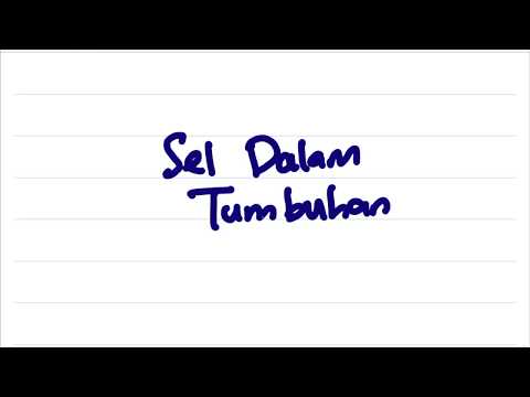 BIOLOGI BAB 2 (BAHAGIAN 8) - SEL DALAM TUMBUHAN (SPM TINGKATAN 4)