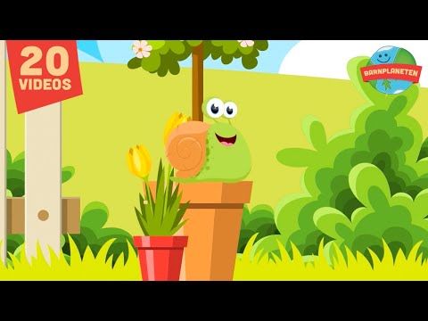 Lilla snigel, Hjulen på bussen sover m. fl.